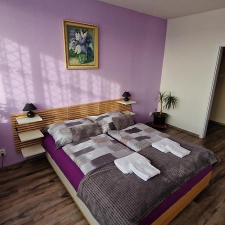 Byt S Jedinecnym Vyhledem Decin Exteriör bild