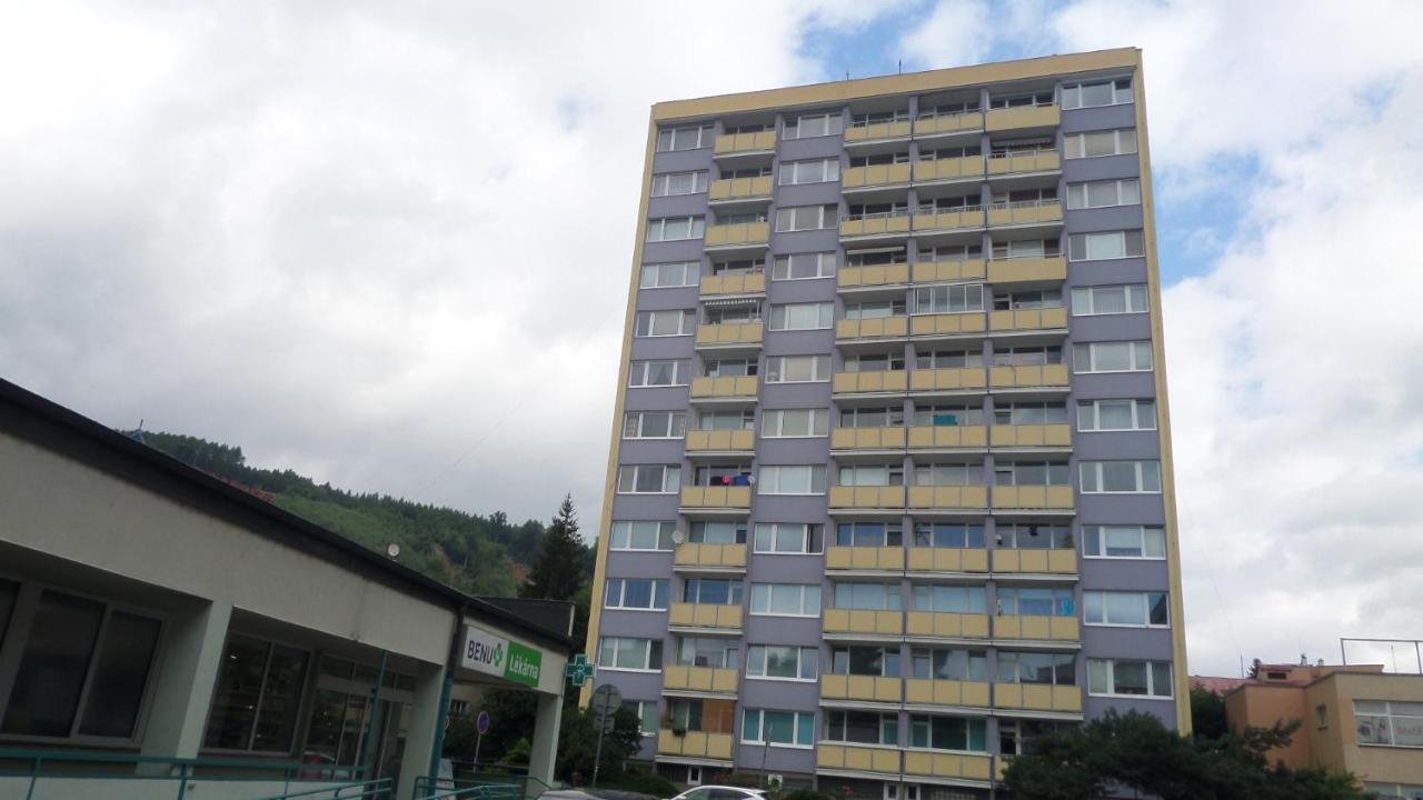 Byt S Jedinecnym Vyhledem Decin Exteriör bild